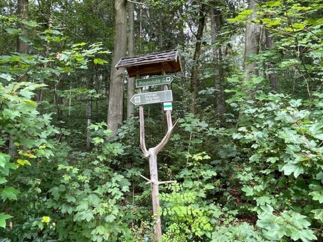 Das Jagdhaus Waldidyll Erzgebirge Hartenstein  Zewnętrze zdjęcie