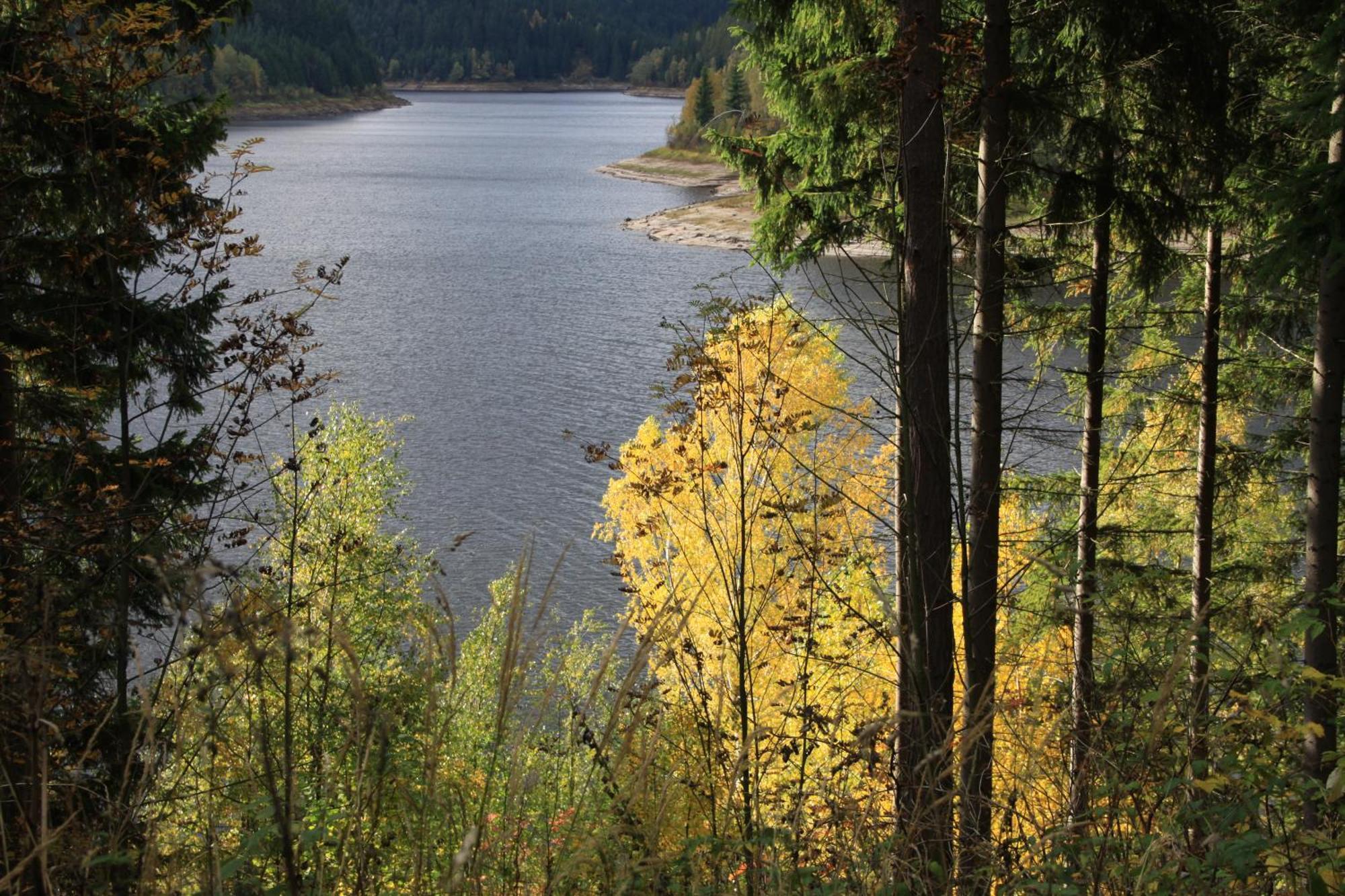 Das Jagdhaus Waldidyll Erzgebirge Hartenstein  Zewnętrze zdjęcie